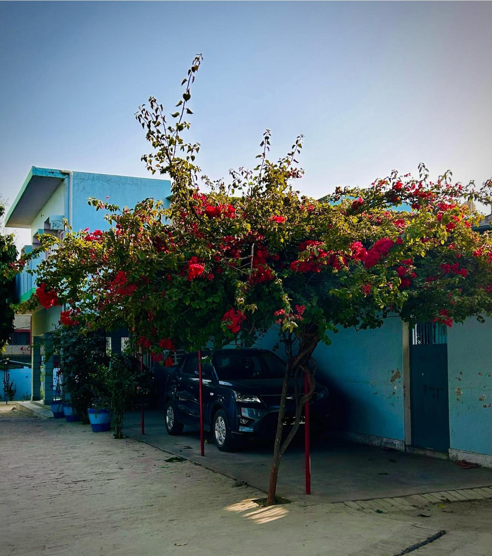 Gooseberry Garden Villa Ayodhya Ngoại thất bức ảnh